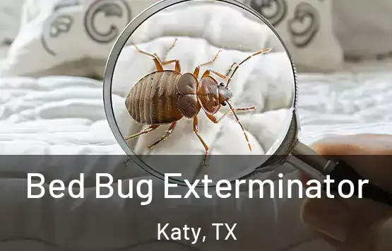 Bed Bug Control in Lufkin, TX