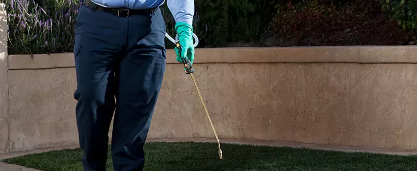 Emergency Pest Control for Lufkin, TX properties