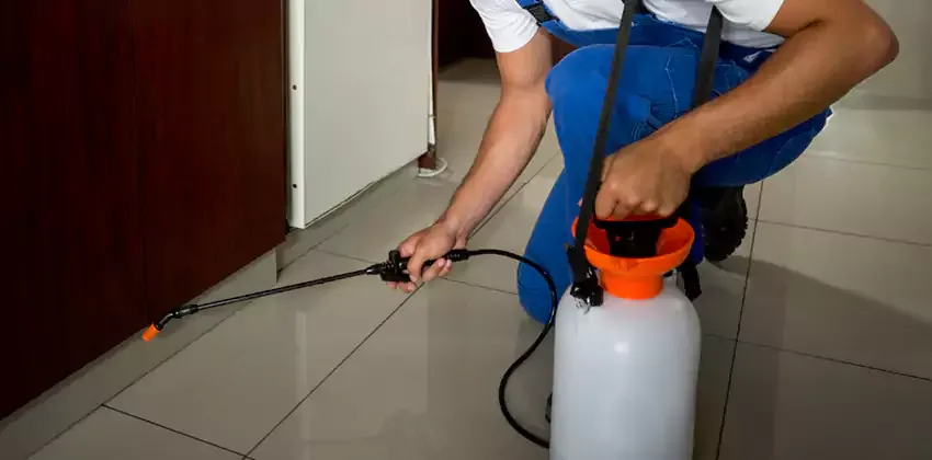 Flea Pest Control for Lufkin, TX properties