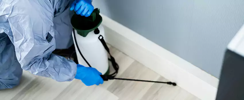 Elk Pest Pros technician applying cockroach treatment along a baseboard in a Lufkin, TX home