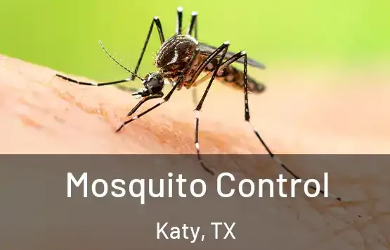 Mosquito exterminator treating a Lufkin, TX home