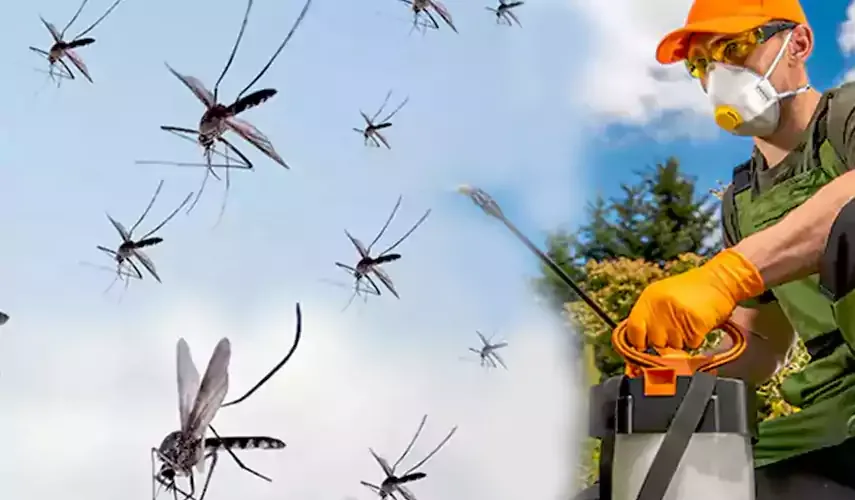 Mosquito pest control Lufkin TX