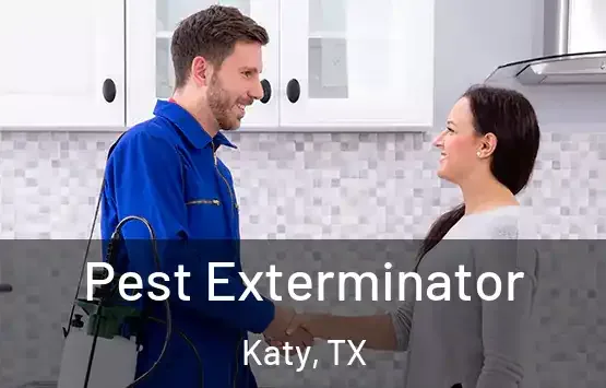 Stink bug exterminator treating a Lufkin, TX home