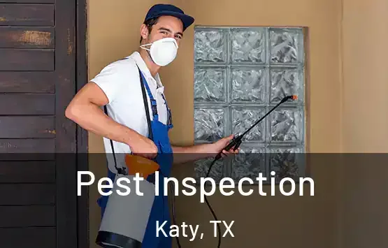 Pest Inspection in Lufkin, TX