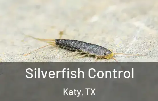 Silverfish exterminator treating a Lufkin, TX home
