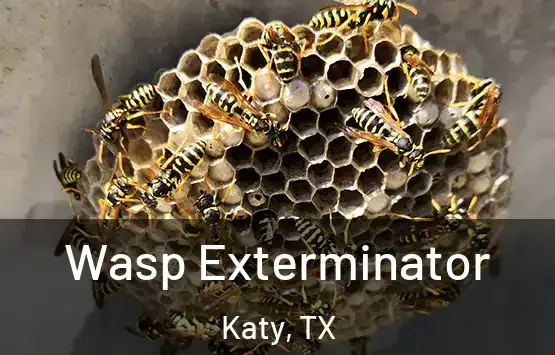 Wasp exterminator treating a Lufkin, TX home