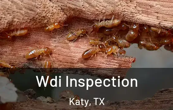 WDI Inspection in Lufkin, TX